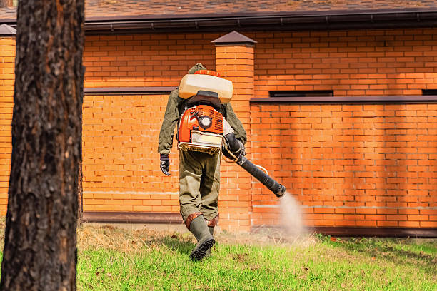 Bed Bug Clearance Verification and Documentation in Locust Grove
